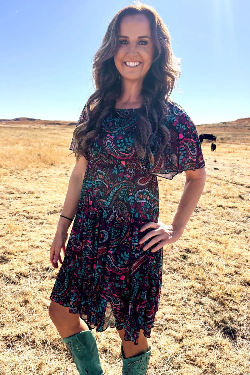 Painted Night Paisley Dress By Sterling Kreek