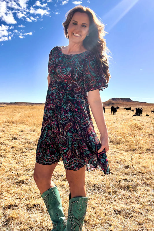 Painted Night Paisley Dress By Sterling Kreek